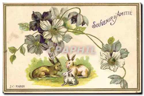 Cartes postales Lapin Lapins