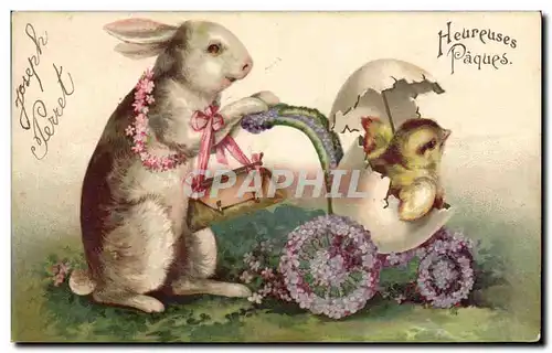 Cartes postales Lapin Poussin