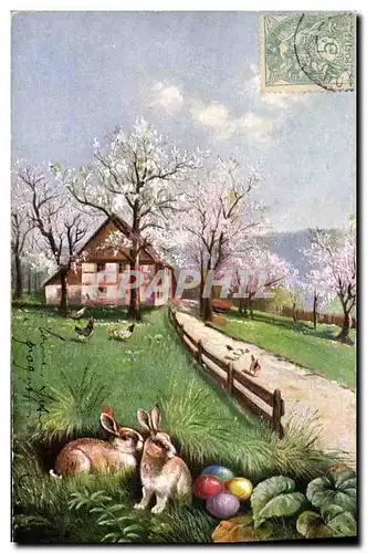 Cartes postales Lapin Lapins