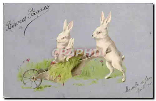 Cartes postales Lapin Lapins