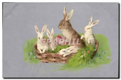 Cartes postales Lapin Lapins