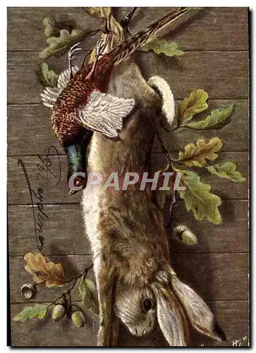 Cartes postales Lapin Lapins Perdrix Chasse