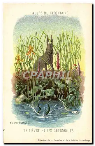 Cartes postales Lapin Lapins Fables de la Fontaine Le lievre et les grenouilles Gustave Dore