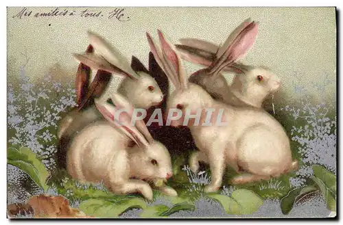 Cartes postales Lapin Lapins