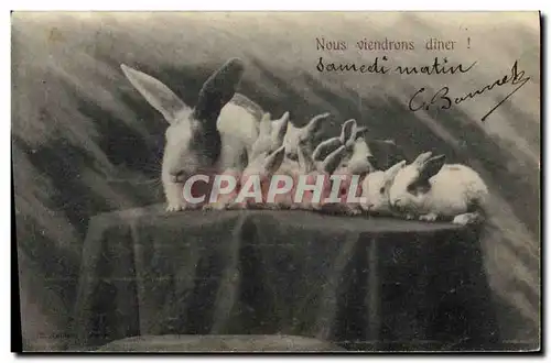 Cartes postales Lapin Lapins Nous viendrons diner !