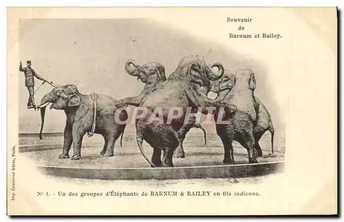 Ansichtskarte AK Cirque Barnum et Bailey Un groupe d&#39elephants en file indienne Elephant