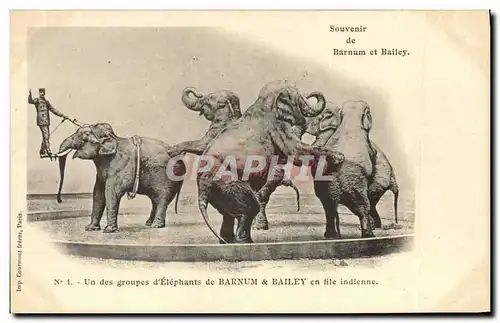 Cartes postales Cirque Barnum et Bailey Un groupe d&#39elephants en file indienne Elephant