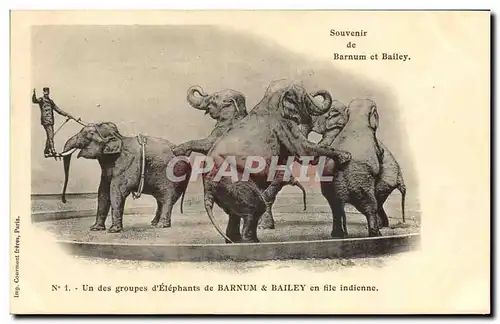 Ansichtskarte AK Cirque Barnum et Bailey Un groupe d&#39elephants en file indienne Elephant