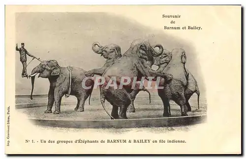 Cartes postales Cirque Barnum et Bailey Un groupe d&#39elephants en file indienne Elephant