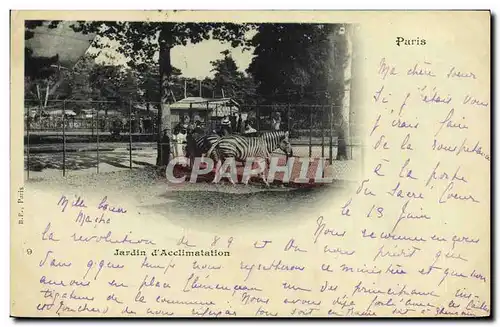 Cartes postales Paris Jardin d&#39acclimation Zebre