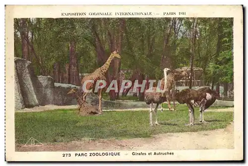 Cartes postales Paris Exposition coloniale internationale 1931 Parc zoologique Girafes et autruches