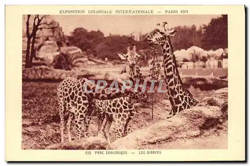 Cartes postales Paris Exposition coloniale internationale 1931 Parc zoologique Les girafes