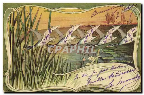 Cartes postales Fantaisie Illustrateur Canard Canards