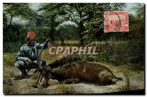 Cartes postales Chasse Tunisie