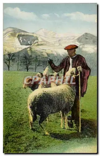 Ansichtskarte AK Pyrenees Moutons Patre en montagne le sel aux moutons