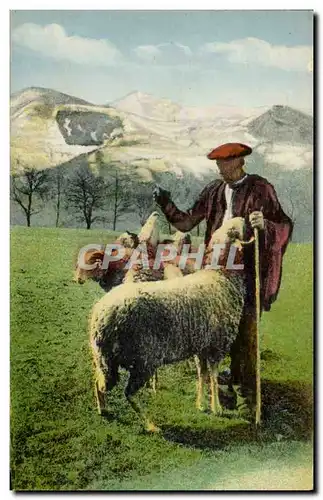 Cartes postales Pyrenees Moutons Patre en montagne le sel aux moutons