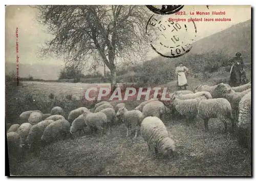 Cartes postales Morvan Bergeres gardant leurs moutons