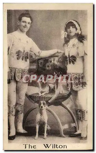 Cartes postales The Wilton Chien Chiens