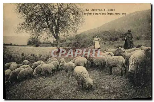 Cartes postales Morvan Bergeres gardant leurs moutons