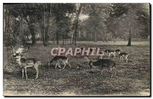 Cartes postales Parc aux daims du cahteau Denain