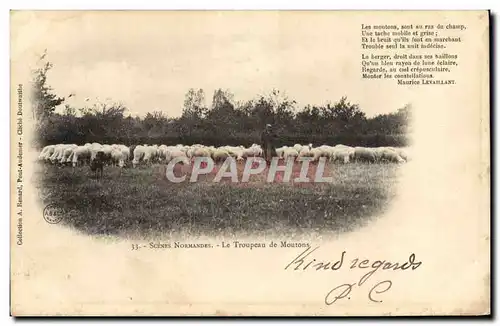 Cartes postales Scenes Normandes Le troupeau de Moutons