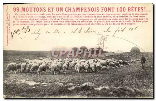 Ansichtskarte AK 99 moutons et un Champenois font 100 betes