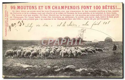 Cartes postales 99 moutons et un Champenois font 100 betes