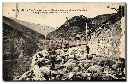 Ansichtskarte AK Roussillon Berger ramassant son troupeau a la plaine et cassant leur croute