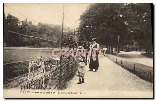 Cartes postales Lyon Parc de la Tete d&#39Or Le parc aux biches