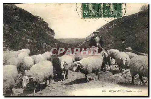 Cartes postales Berger des Pyrenees