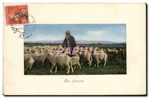 Cartes postales Berger Moutons Ses favoris