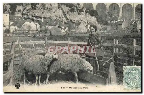 Cartes postales Folklore Centre Moutons du parc