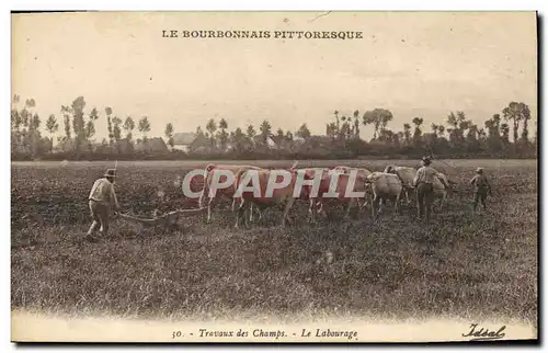 Cartes postales Folklore Bourbonnais Travaux des champs Le labourage Boeufs