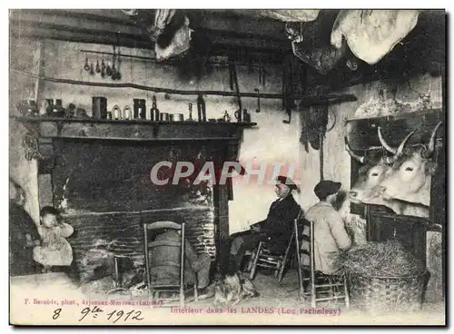 Cartes postales Folklore Interieur dans les Landes Boeufs TOP