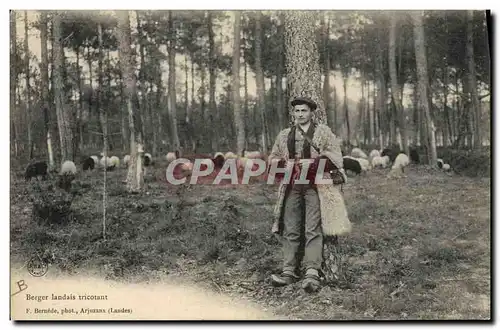 Ansichtskarte AK Folklore Berger landais tricotant Moutons