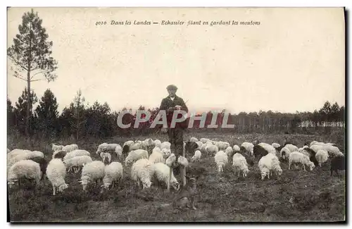 Ansichtskarte AK Folklore Dans les Landes Echassier filant en gardant les moutons