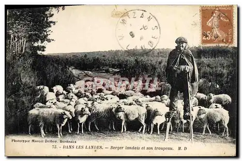 Cartes postales Folklore Dans Les landes Berger landais