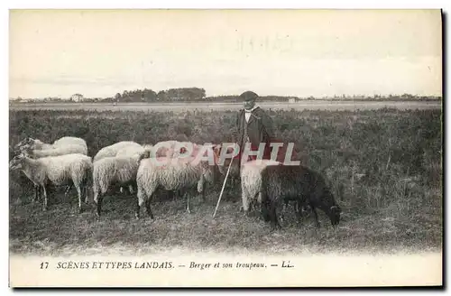 Ansichtskarte AK Folklore Berger et son troupeau Moutons