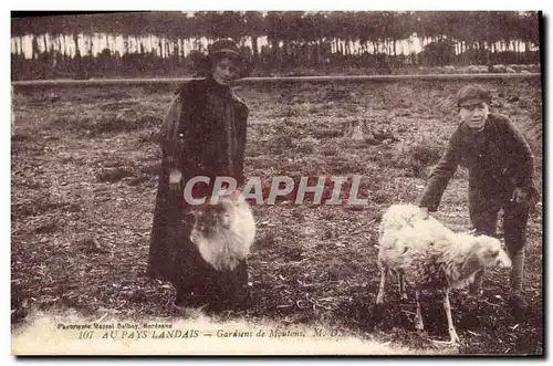 Ansichtskarte AK Folklore Au Pays Landais Gardiens de moutons