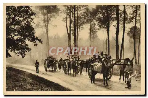 Ansichtskarte AK Folklore Effet de brume dans la foret Les Bross Landes