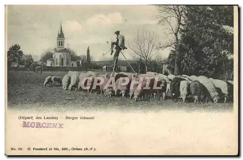 Ansichtskarte AK Folklore Landes Berger echassie Moutons