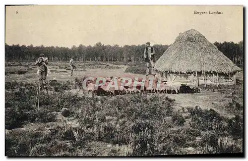 Ansichtskarte AK Folklore Bergers landais Moutons