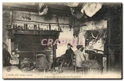 Cartes postales Folklore Interieur dans les Landes Boeufs