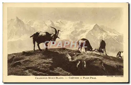 Ansichtskarte AK Chamonix Mont blanc Chevres a plan Praz Chevre