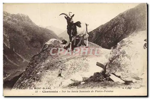 Cartes postales Chamonix Sur les hauts sommets de Pierre Pointue