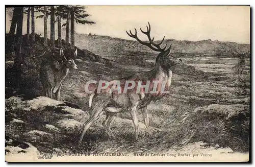 Cartes postales Foret de Fontainebleau Harde de cerfs au long rocher par Virion