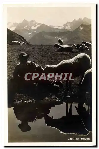 Cartes postales Jdyll am Bergsee Moutons