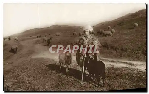 Ansichtskarte AK Berger Moutons Roumanie Romania