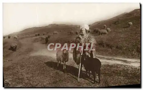 Cartes postales Berger Moutons Roumanie Romania