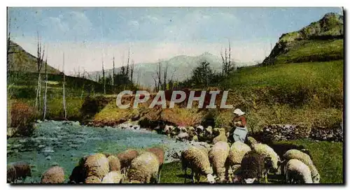 Ansichtskarte AK Pyrenees Un troupeau de paturage Moutons